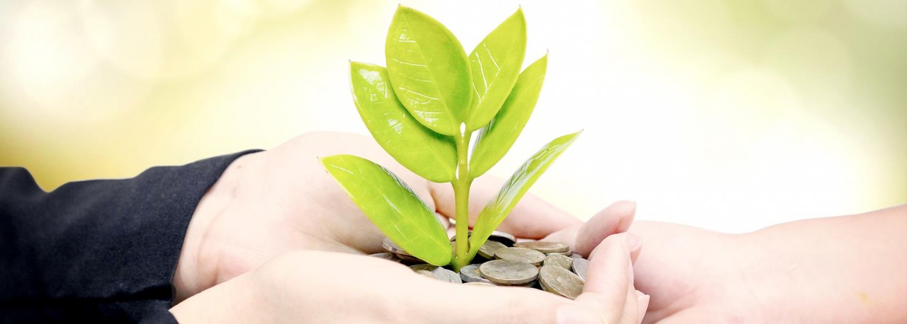 developpement-durable